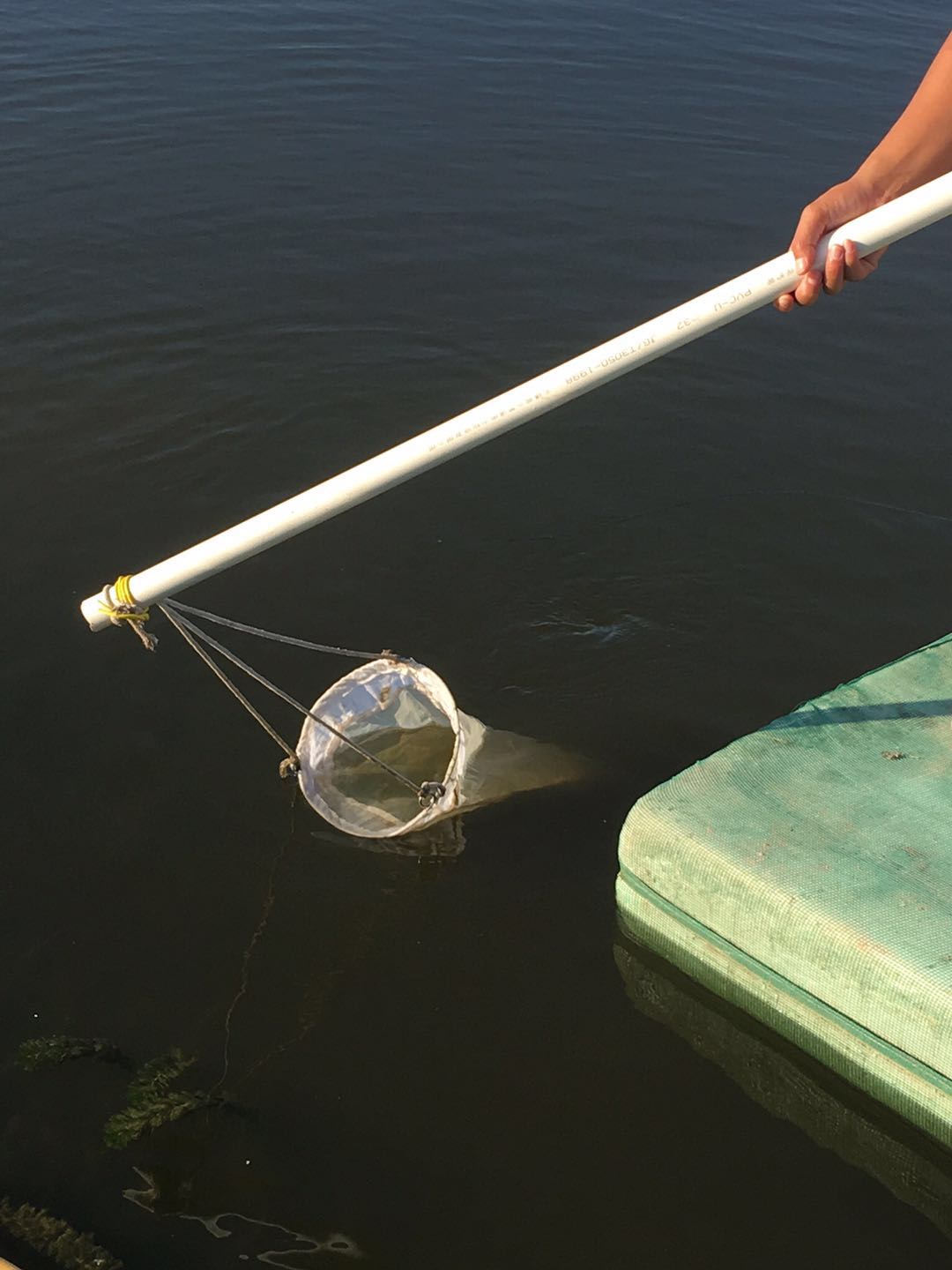 浮游生物采集网