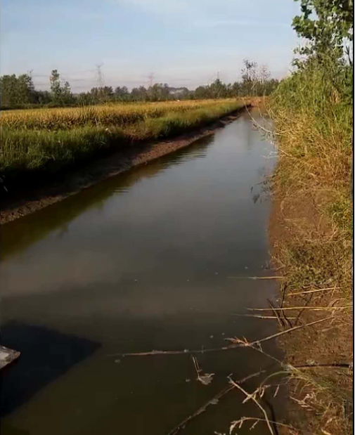 环沟降水