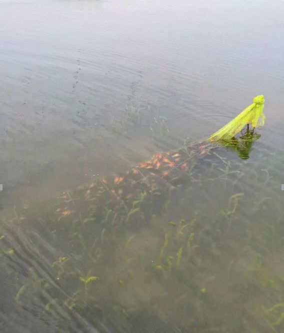 水草空隙下地笼