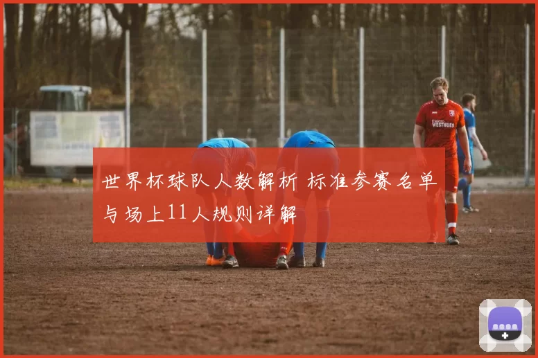 世界杯球队人数解析 标准参赛名单与场上11人规则详解