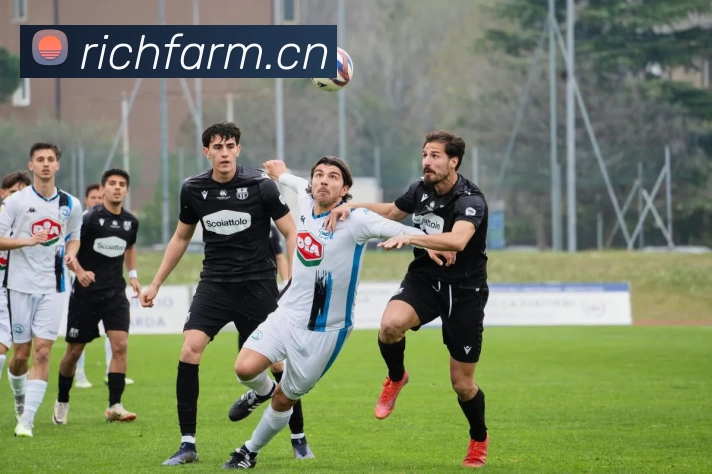 App Interface Preview